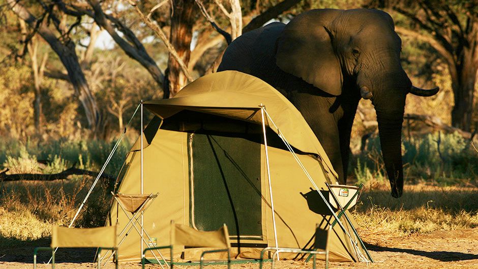Chobe National Park 3-Night Camping Safari from Victoria Falls